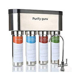 Purify Guru Smart 
