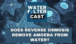 Does Reverse Osmosis Remove Amoeba from Water?