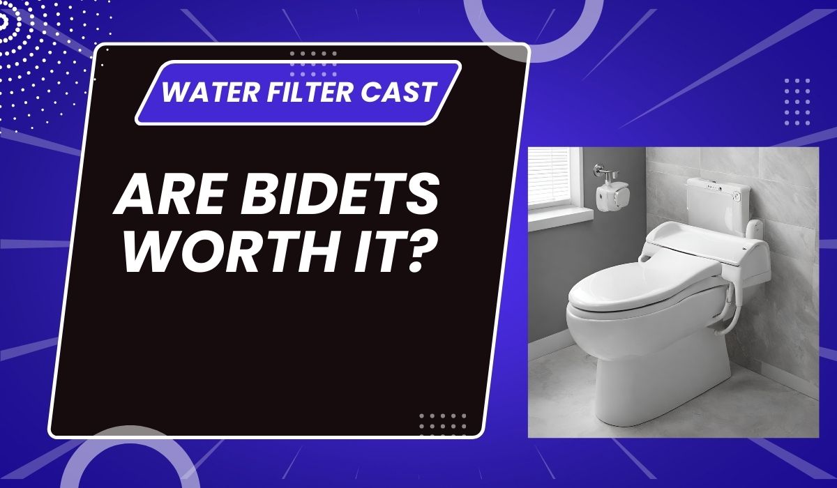 Are Bidets Worth It? A Deep Dive into Hygiene, Health, and Savings